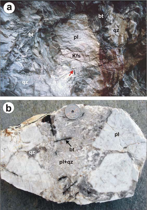 The megacryst encloses a smaller K-feldspar crystal (Kfs) and is surrounded by fan-like biotite (bt).