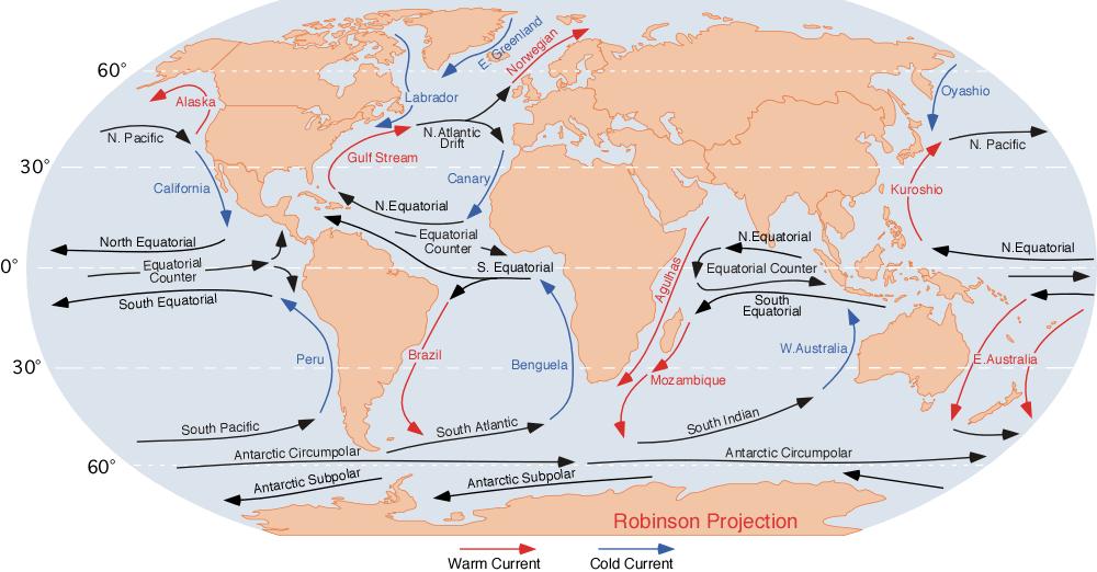 How do nearby Ocean Currents affect the climate? Warm and cold ocean currents bring warm moist air near to coastal areas.