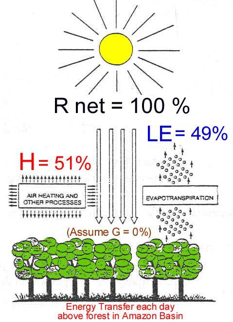 Q-6 Will the % of net radiation in LE form be HIGHER or LOWER in the Desert, when compared to a Rainforest?