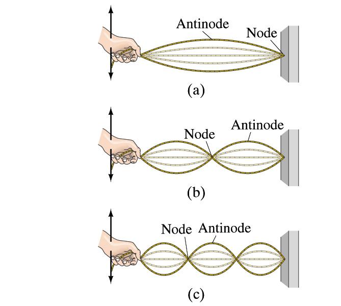 Nodes and Antinodes Node position of no displacement Antinode position of