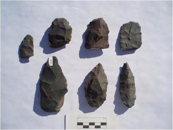 Figure 6. Preforms of knives made of fine-grained basalt. the seasons when humans were absent and busy collecting seeds in the intermountain region.