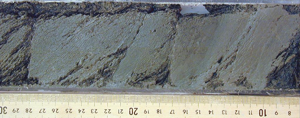 Figure 3. Deformation structures of accreted sediments at Site 1178. (a) Core photograph of brecciated zone in the deformed interval between 400 and 506 mbsf.