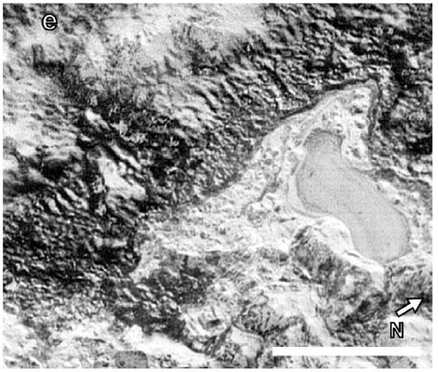 7 Figure 8: Isolated ponded, lake-like feature informally named Alcyconia Lacus just north of Sputnik Planitia on Pluto. Scale bar is 30 km. Figure from Stern et al. (2016). Cruikshank, D. P., & Silvaggio, P.