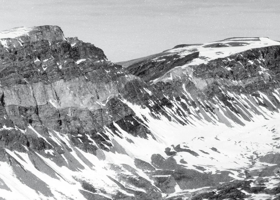 Fig. 5. Saqqaq supracrustal rocks on NE-facing cliff face 9 km north-northeast of Saqqaq, opposite the mountain Qaqulluit.