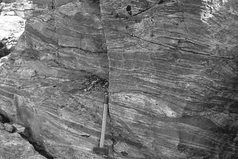 Fig. 5. Strongly deformed orthogneiss with tectonic layers and lenses of supracrustal rocks and (?)mafic dykes. Near the southwestern margin of the Puiattup Qaqqaa shear zone, c.