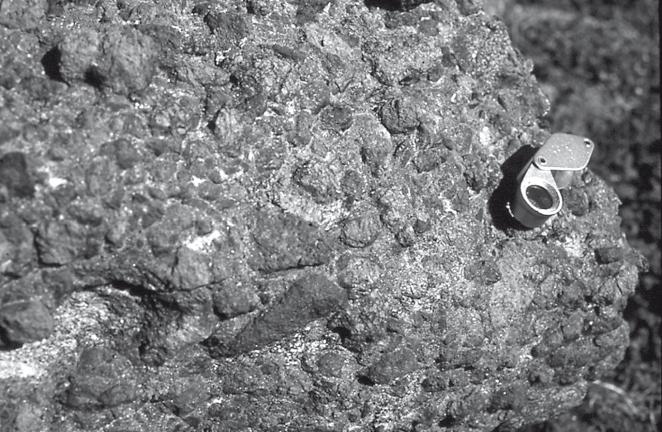 Fig. 27. Nodular ultramafic lamprophyre with large corroded crystals of magnesium-rich orthopyroxene. Central part of the island Qeqertaa in Kangerluarsuk. cated a c.
