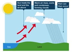 Types of Rainfall cold air is denser (heavier) than the warm air, it forces the warm air mass to rise and move over the cold air. As the warm air rises, it begins to cool and condense creating clouds.