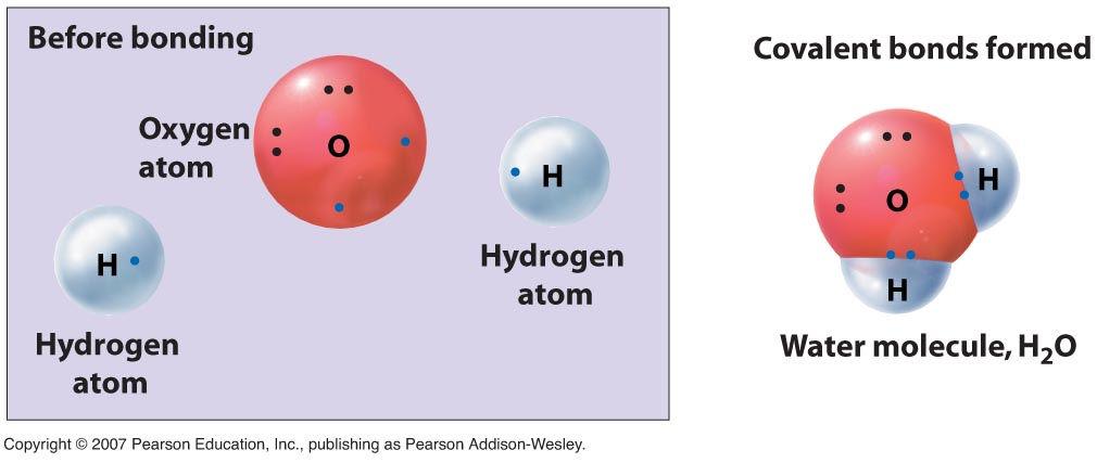 The Covalent Bond The number of covalent bonds an atom