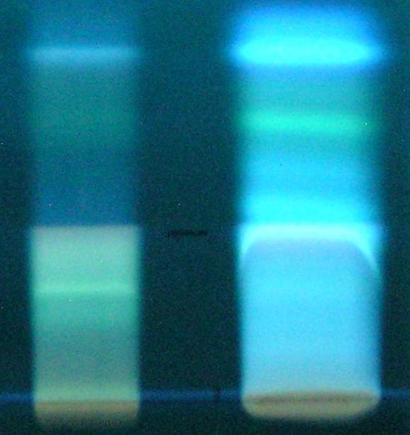 Photograph 5: Thin-layer Chromatogram of the Polar Compounds from Three Different Mineral Oils Viewed with Short Wave (254 nm) UV Light These are the polar compounds collected from three different