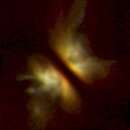 disk-shaped clouds circling newborn stars.