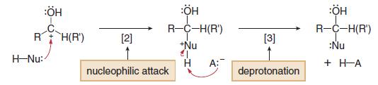 Steps [2] [3] Nucleophilic attack and deprotonation a) Addition of Alcohols (Acetal Formation): Aldehydes and ketones react with two equivalents of alcohol to form acetals.