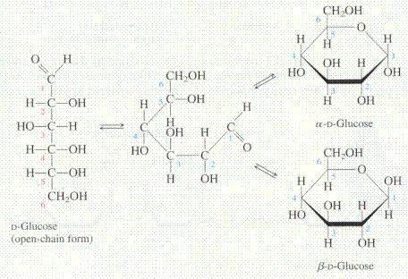Hemiacetal form of cyclic sugars Formation of Acetals and Ketals.