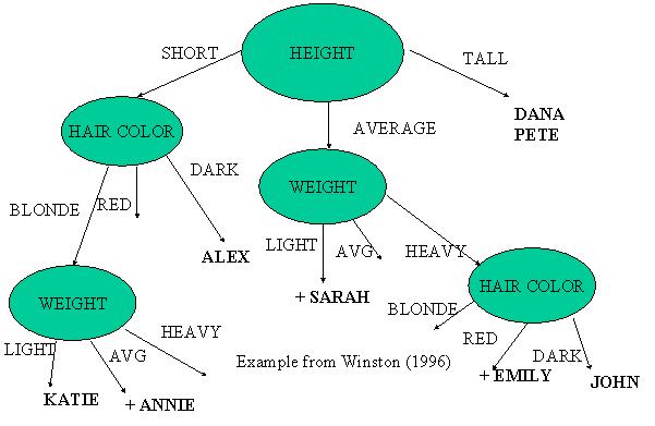 Classification tree as an ex.
