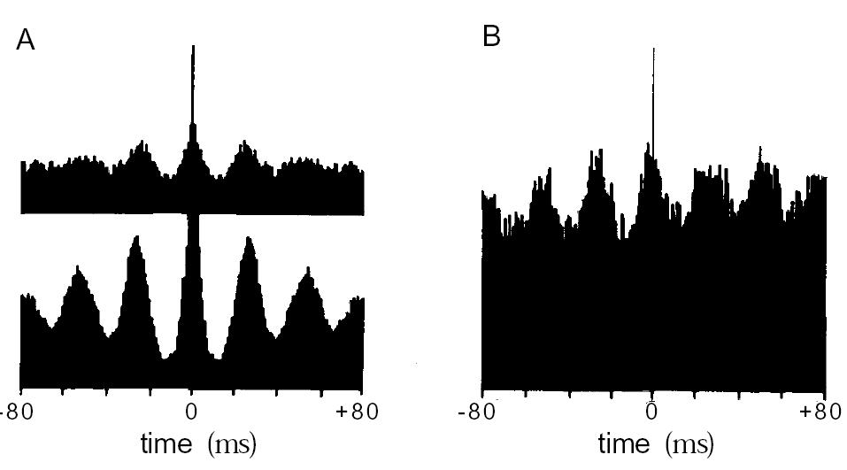 Auto- and Crosscorrelation Histogram Comparison of Poisson Model and Data Lag m. Number of spike-pairs with distance within m ± 1/2 t: N m.