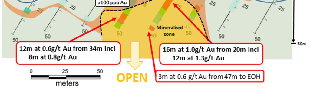 across the central Line 2 at Mars Aurora Tank shows the distribution of gold within the mineralised zone.