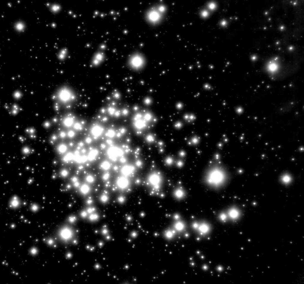 11 Fig. 1. NACO combined HK image of the Arches cluster.