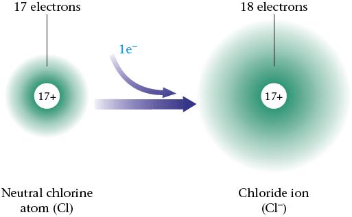 electrons than protons; - The only particle that can change and affect the charge