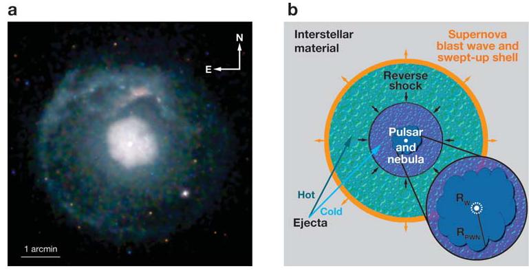 «primary» positrons in cosmic rays; pulsars, dark matter,.