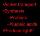 Using ATP in the cell Section 8-2 Interest Grabber Active transport Synthesis Proteins Trapping Energy Have you ever used a