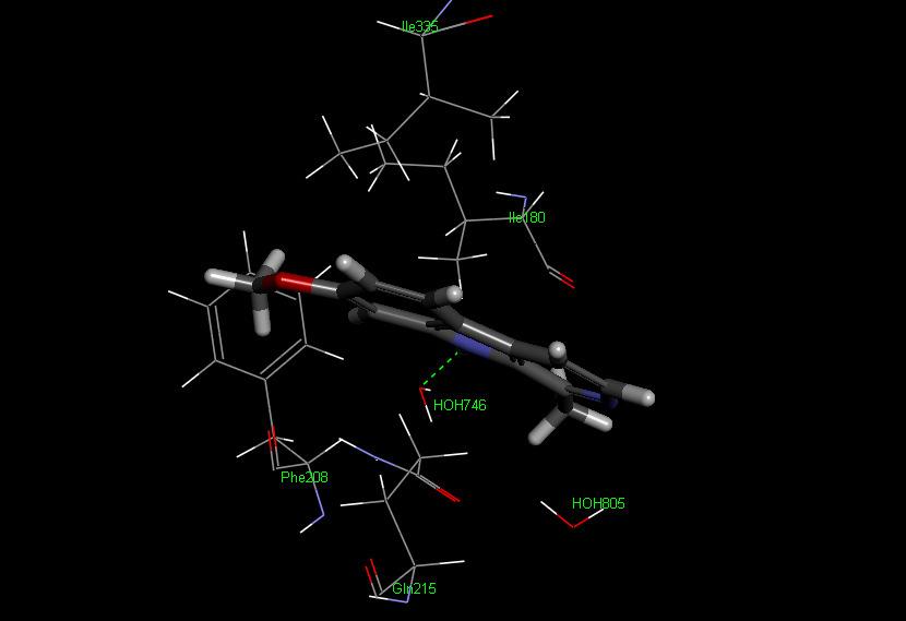 Figure 3.6. A three-dimensional representation of the binding of harmine in the MA-A active site. The most important interacting residues are also given.