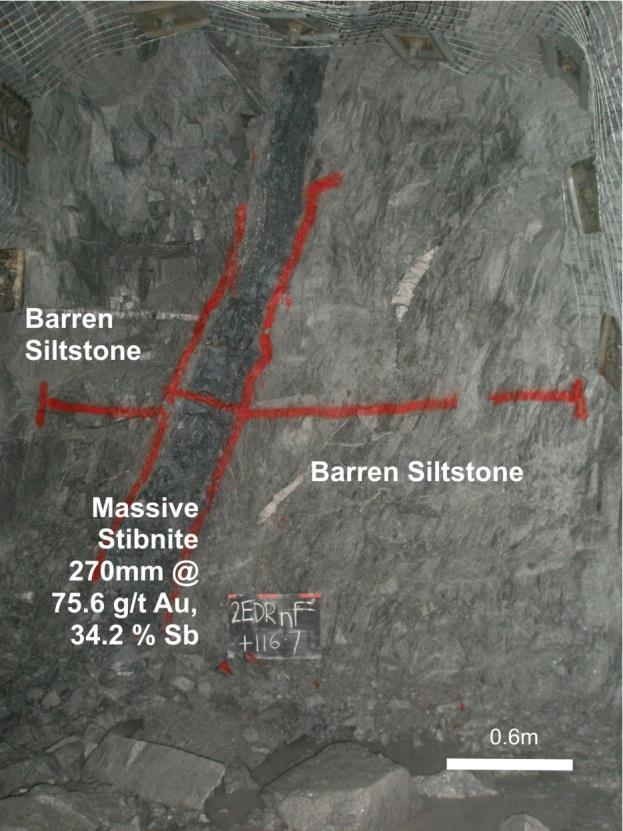 Figure 1. Elode, MH070 128.8m down hole, Sample: P553101 Assay results: 113 g/t Au, 30.6 % Sb.