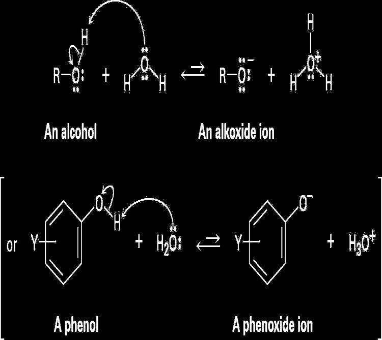 Alcohols and Phenols are Weak Brønsted Acids Can transfer a proton to water to a