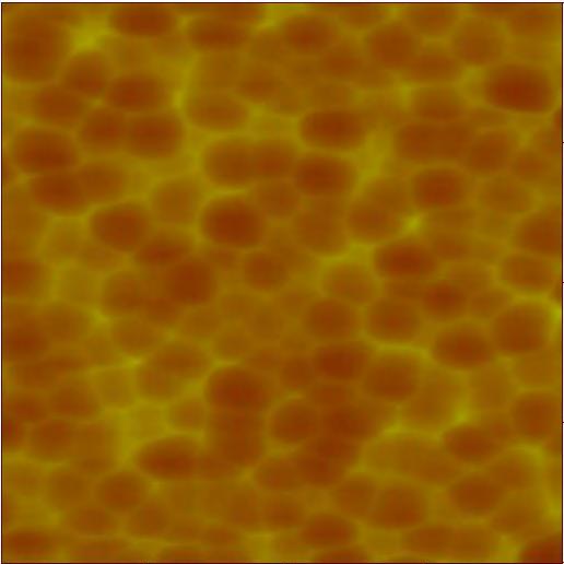 Au polycrystalline Gold plate Orientation (1,1,1) (x-ray diffraction) size of laser beam 1 µm 100 nm AFM picture of the surface Sample considered isotropic