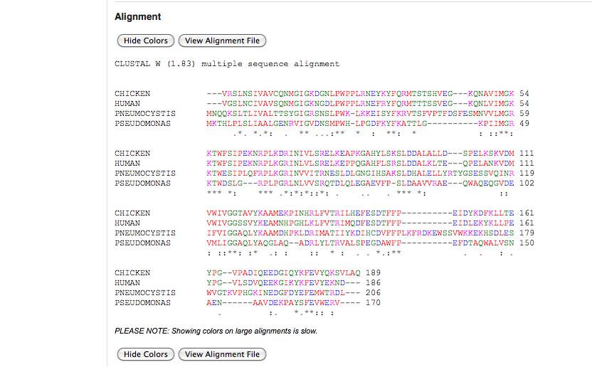 28 Sequence Alignment Figure 2.7: Multiple sequence alignment using ClustalW.