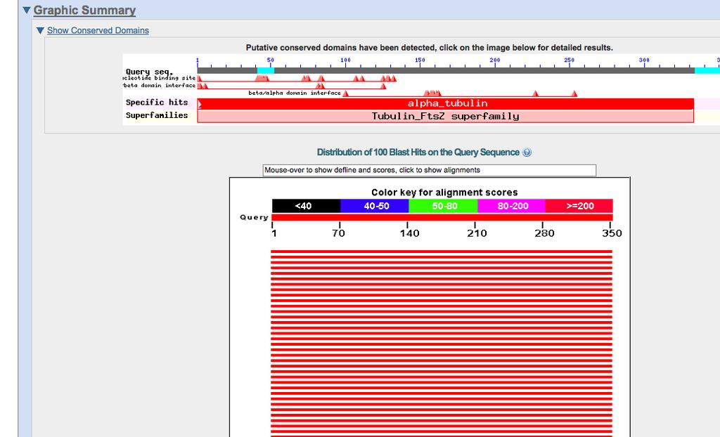 42 Local Alignments and Database Searches Figure 3.5: Screen shot BLAST I. 3. Paste the α-tubulin protein sequence from M. musculus in FASTA into the Enter Query Sequence box.