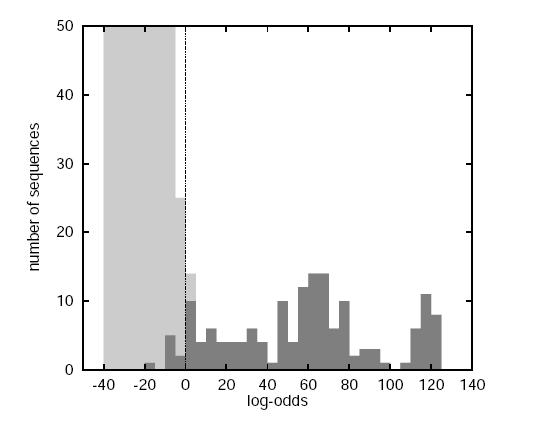 5.2 Profile HMMs 77 Figure 5.4: The distribution of log-odds scores from a search of Swissprot with a profile HMM of the SH3 domain.