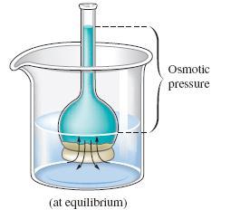 Osmotic Pressure: π = MRT Similar to ideal gas law! R = gas constant M = molar concentration of solute Osmotic Pressure Dialysis (does allow the transfer of some solute particles) Fig 17.