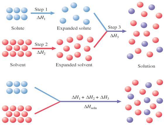 A quantitative description of solvation: The Solution Cycle Step 1: Solute separates into components - overcoming attractions in order to expand and make room for solvent -- Endothermic Step 2: