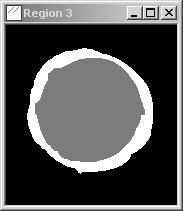 a) b) c) Figure 5 Example of image processing and analysis results: a) original radiography; b) resultant image (in grey is the hole are; in white is the delaminated region); c) measurement results.