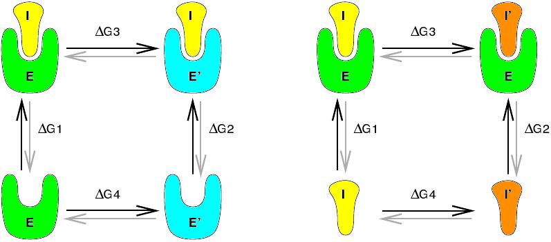 Reaction free energy difference Example left: binding of an inhibitor molecule I to an enzyme