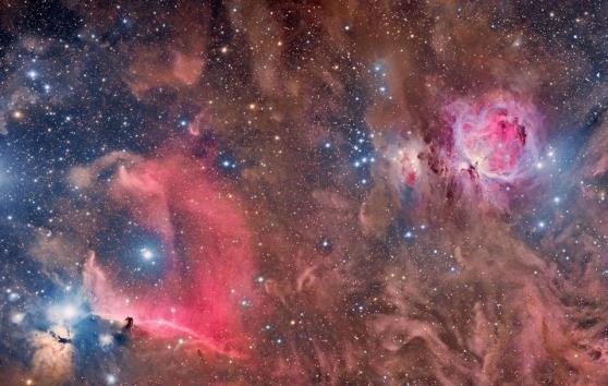 Astronomy Picture of the Day The dark Horsehead Nebula and the glowing Orion Nebula are contrasting cosmic vistas.