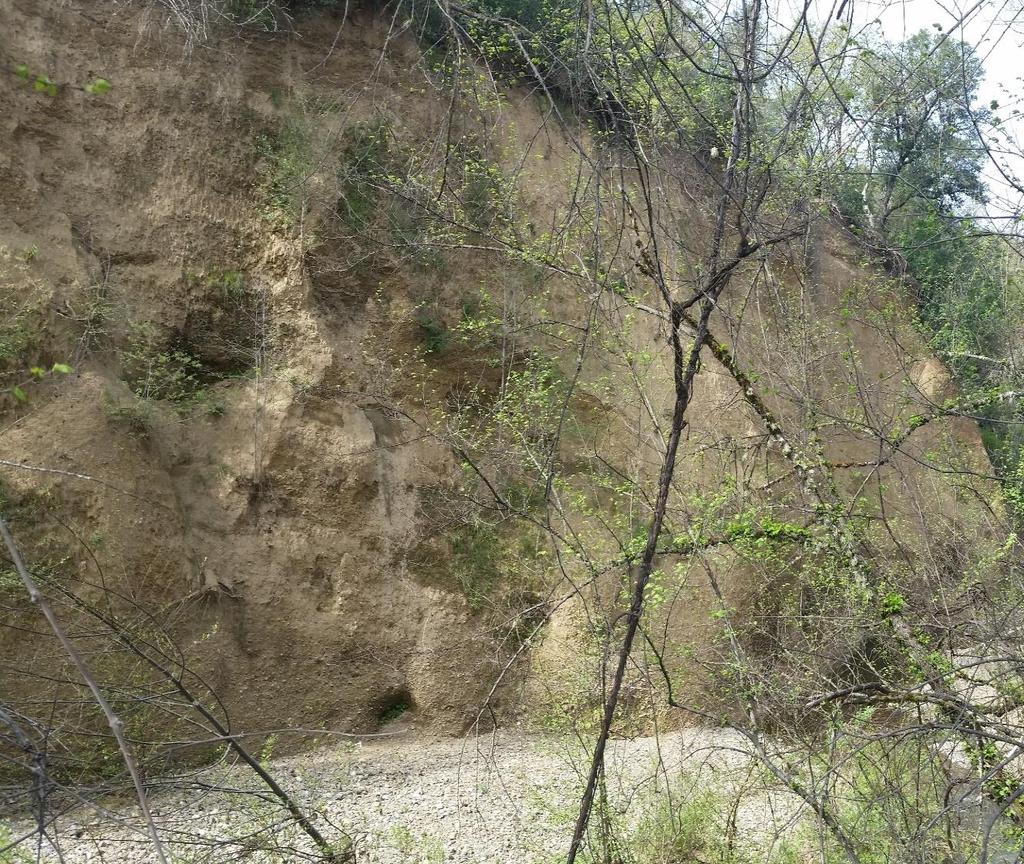 Dissected Alluvium Channel Channel slope 1-4% Older Pleistocene-era alluvium was deposited into pull-apart basins then uplifted Limited in distribution, alluvium is high in clay so banks are tall and