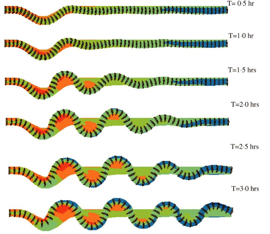 Meandering Simulations Initial Conditions sine-generated deflection angle 30 discharge 2.