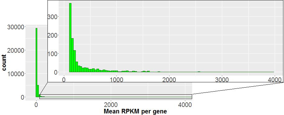 Figure 6.2.: Histogram of mean RPKM per gene in level 3 breast cancer data from TCGA. The majority of PRKM values is smaller than 100. The maximum RPKM value is approximately 4000.
