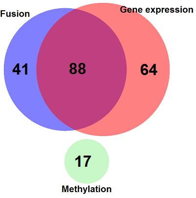Figure 7.1.: Venn diagram of genes in best scoring module sets for all network approaches. 88 genes of modules in fusion and gene expression networks are overlapping.