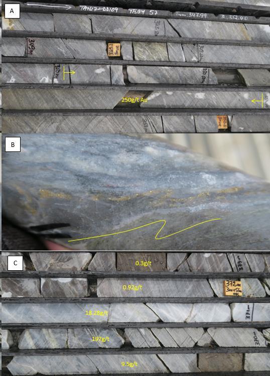 Figure 2 High grade ore at (A) M1 South hole DD109, (B) showing visible gold in small drag fold, and (C) at M5 deeps in hole DD102 M1 South high-grade potential before recent drilling: The existing