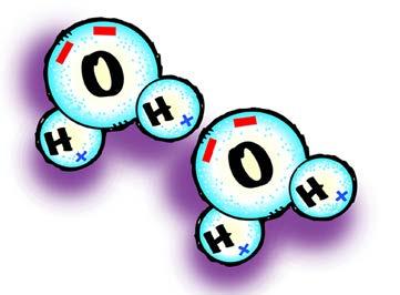 ACTIVITY Mark the positive and negative areas on a water molecule.