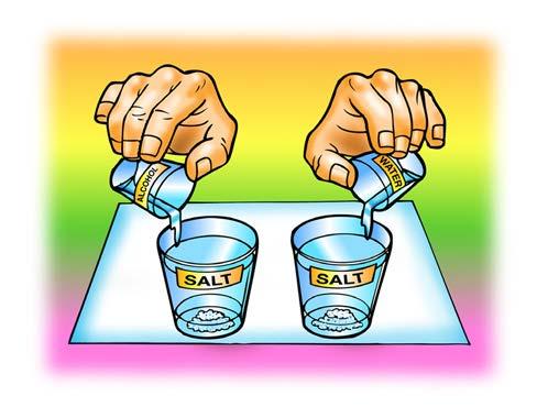 2. Describe what happens when water dissolves salt. ACTIVITY Question to Investigate Is alcohol just as good, better, or worse than water at dissolving salt?