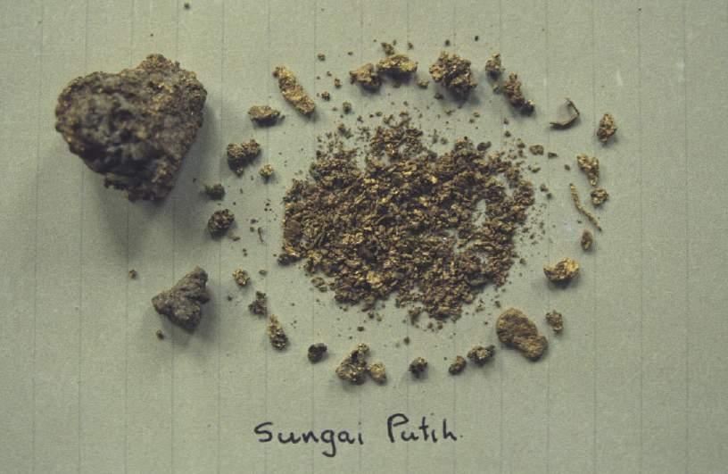 . Photo 15. Coarse gold panned from Sungai Putih (white stream) which is located in the western portion of the survey grid. The area is underlain with white quartz sand and clay.