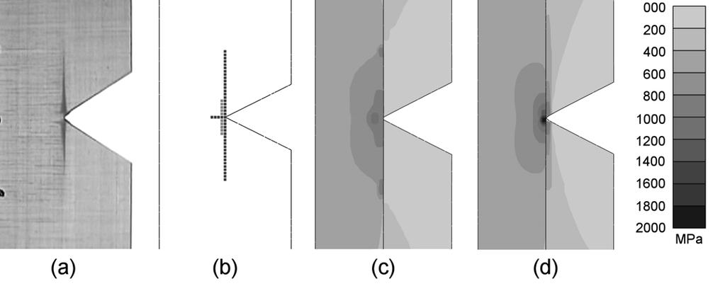 Figure 4 (a) Experimental damage, (b) predicted damage, (c) 0 stress distribution with