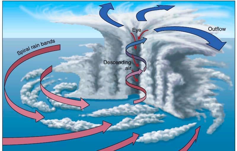 Hurricane Anatomy/Structure Hurricanes are