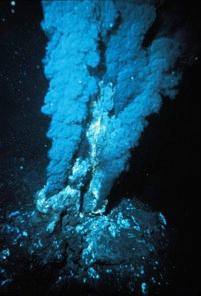 Genetic studies suggest that the earliest life on Earth may have resembled the bacteria today found near deep ocean volcanic vents (black smokers)