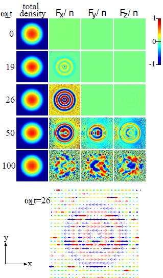 Spin Dynamics in a Pancake-Shaped Trap The concentric ring structure of the spin