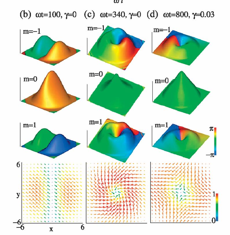 The chiral-symmetry-broken state circumvents this energy cost by developing topological spin