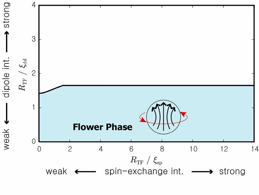 Phase Diagram Ⅰ: : Flower Phase to appear in PRL,