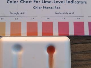 Measure ph with ph meter, ph strips, or
